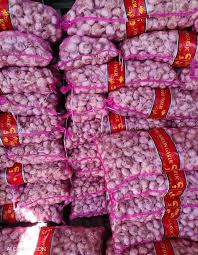 Bawang Putih Grade A – Tersedia Partai Besar & Ecer - Gambar 2